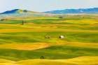 USA-Washington State-Palouse-Colfax Art Print